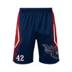 Picture of Team Custom Shorts